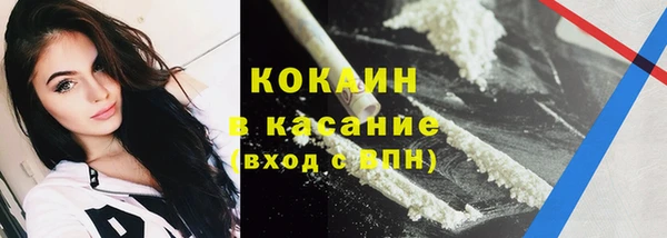прущие грибы Алексеевка