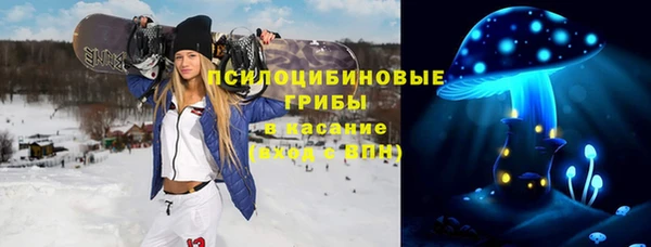 гашик Алексин
