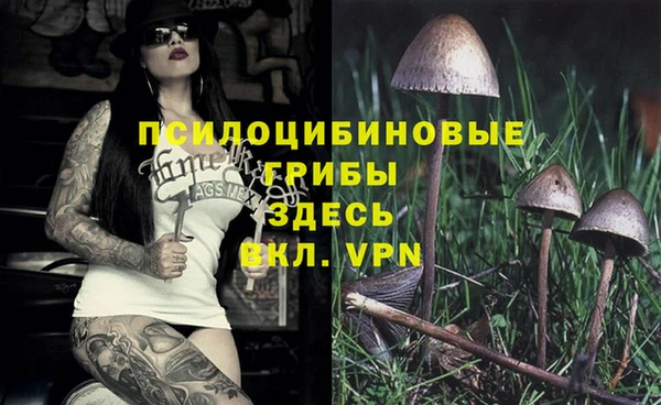 прущие грибы Алексеевка