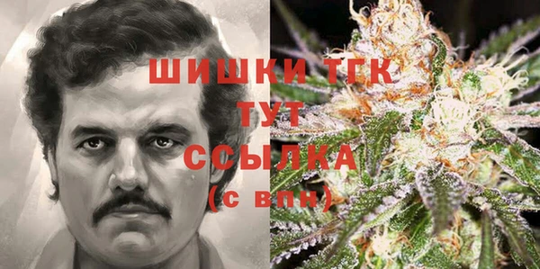 гашик Алексин