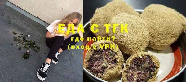 гашик Алексин