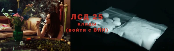 гашик Алексин