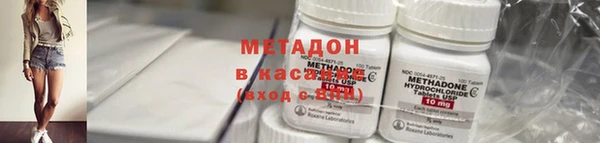 гашик Алексин