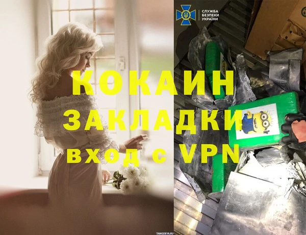 прущие грибы Алексеевка