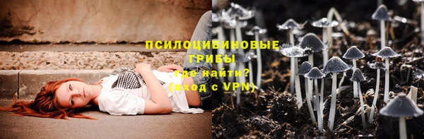 гашик Алексин
