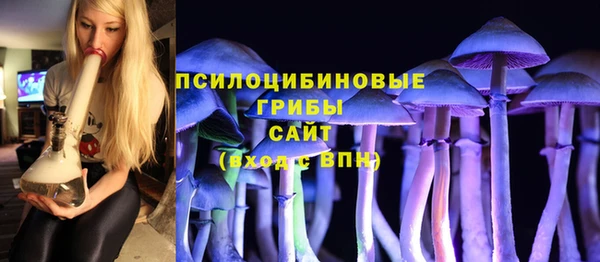 гашик Алексин