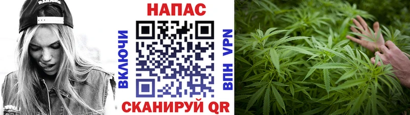 Канабис White Widow blacksprut Богучар